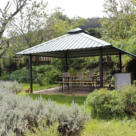 נוארה אליה Senani Colonial Holiday Bungalow מראה חיצוני תמונה