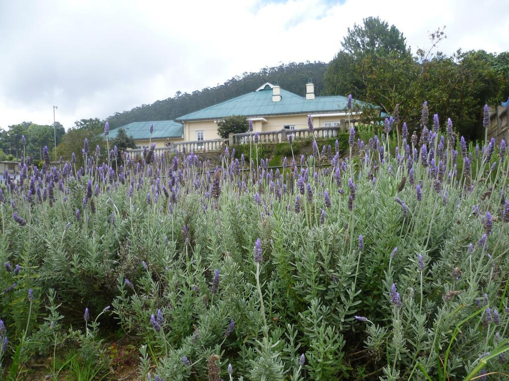 נוארה אליה Senani Colonial Holiday Bungalow חדר תמונה
