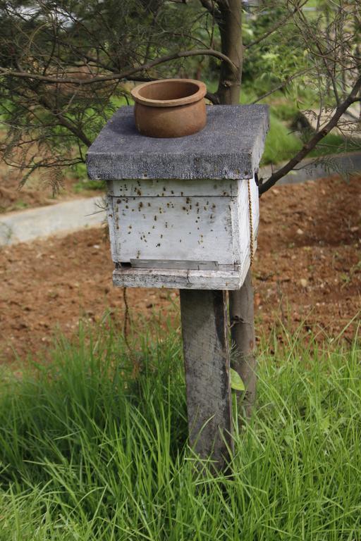 נוארה אליה Senani Colonial Holiday Bungalow מראה חיצוני תמונה